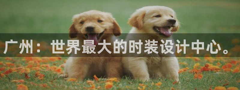 华润娱乐滴qv382223