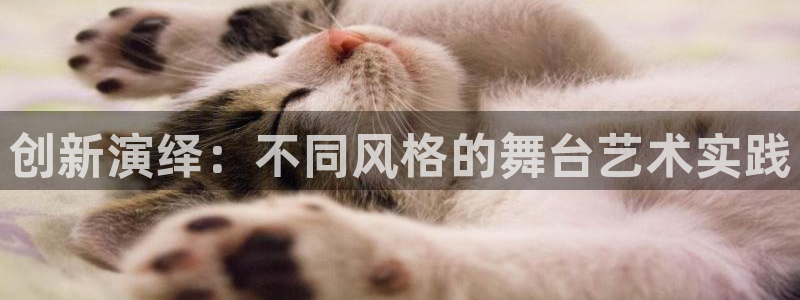 华润悦府娱乐