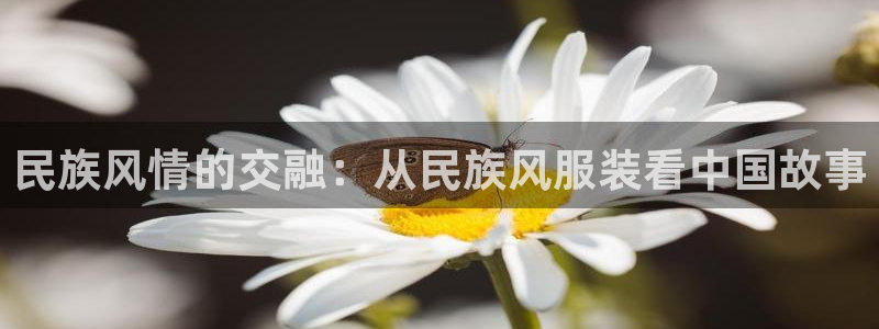 华润娱乐年