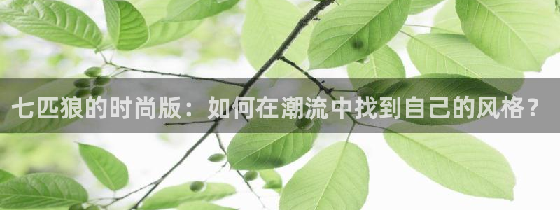 华润娱乐没
