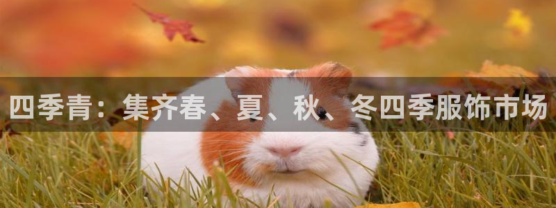 华润娱乐章92222