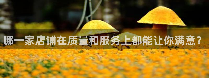 华润娱乐纫580583