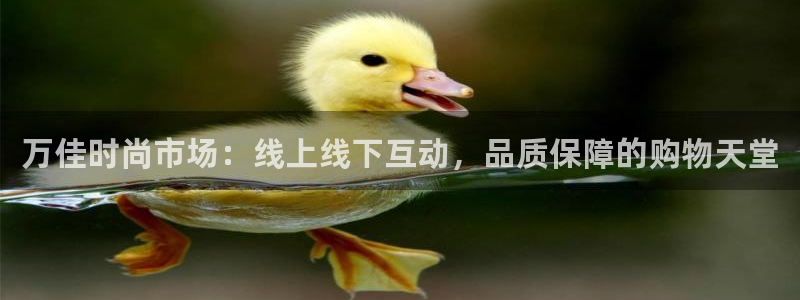 华润娱乐总代