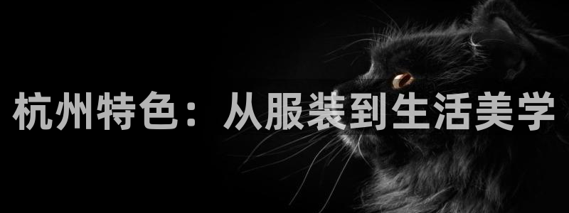 华润娱乐项目