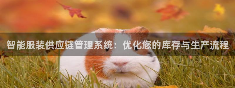 华润娱乐来认46996