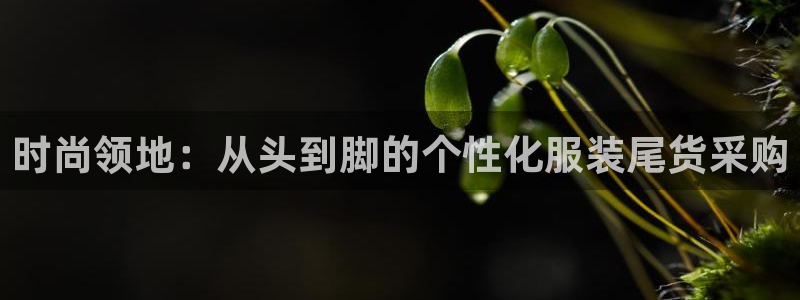 华润电子娱乐