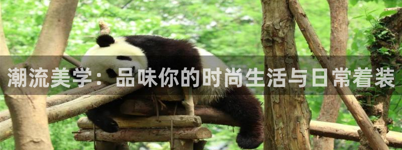 华润娱乐b3指尖