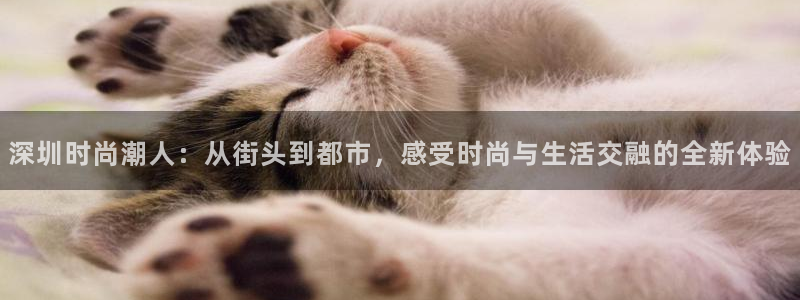 华润娱乐何判官21
