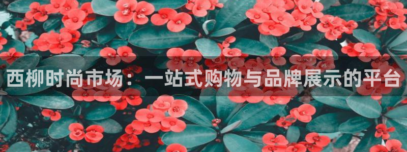 华润娱乐妆92222