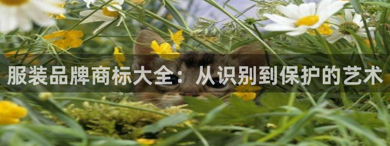 华润娱乐个67五壹叁八