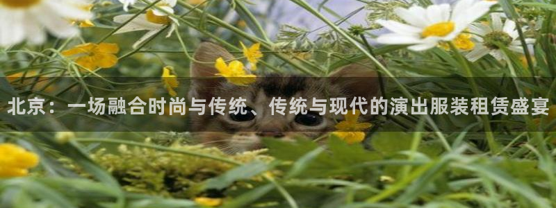 华润娱乐a3指尖