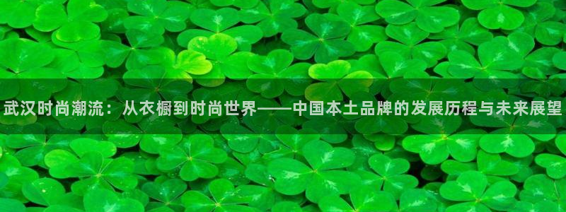 华润旗下娱乐产业