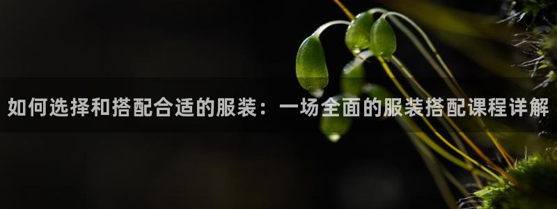 华润娱乐湛95692：如何选择和搭配合适